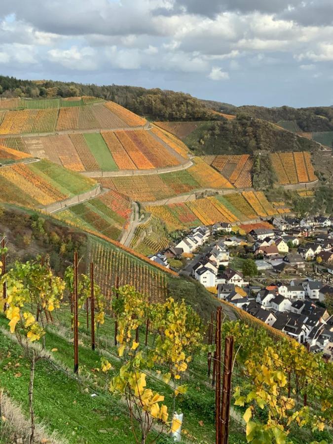 Rheinvilla Arte Remagen Exteriör bild