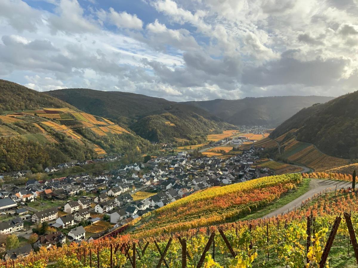 Rheinvilla Arte Remagen Exteriör bild