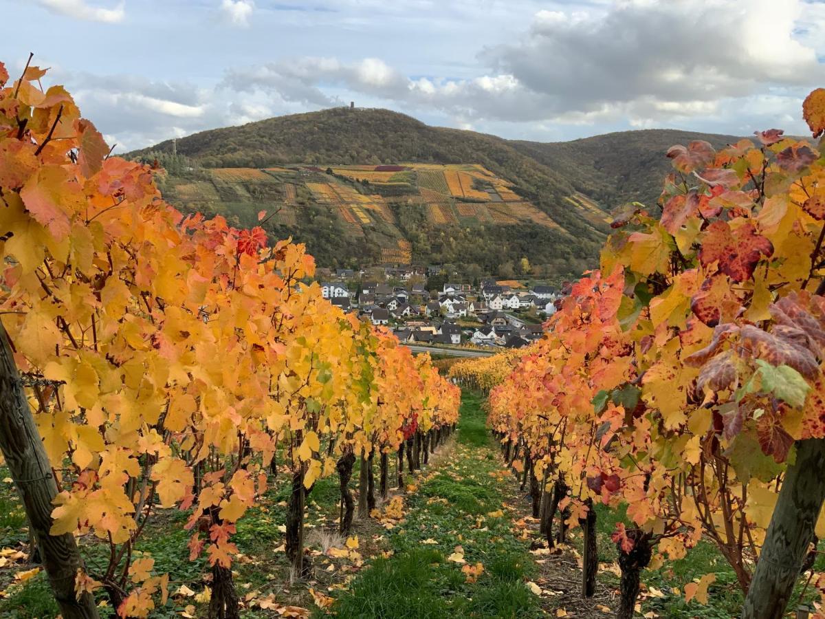 Rheinvilla Arte Remagen Exteriör bild